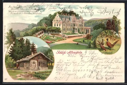 Lithographie Altenstein / Sachs.-Mein., Schloss Altenstein, Sennhütte im Park, Fasanen