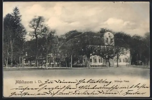 AK Mühlhausen / Thür., Vorderansicht vom Gasthaus Weisses Haus