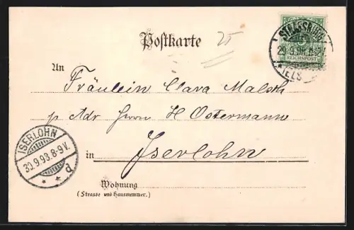 Lithographie Karlsruhe, Schloss, Schlossgartensee, Schlossturm