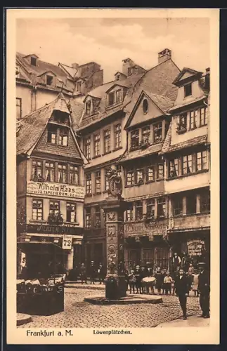 AK Alt-Frankfurt, Löwenplätzchen mit Brunnen