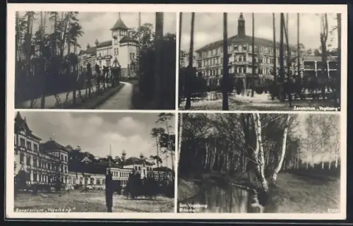 AK Vogelsang / Gommern, Sanatorium u. Birkenhain