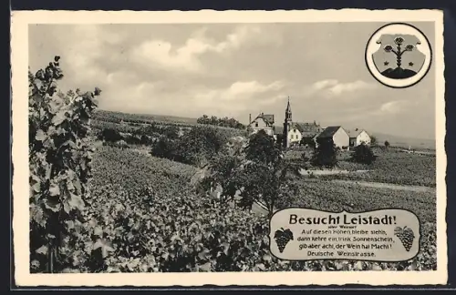 AK Leistadt, Ortsansicht von den Weinreben