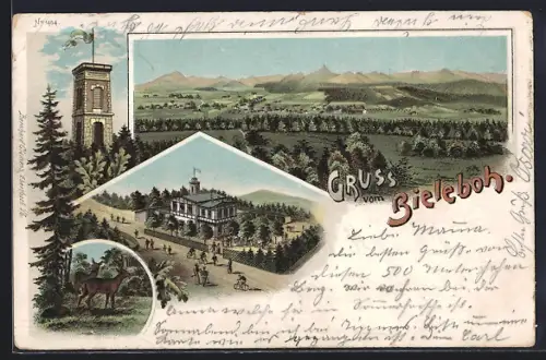 AK Beiersdorf / Oberlausitz, Ortsansicht, Gasthaus Bieleboh, Aussichtsturm