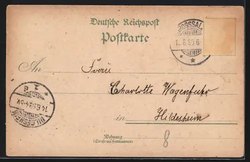 Lithographie Bad Elmen, Lindenbad, Markt, Schwanenteich, Kirche