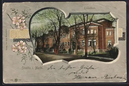 AK Strelitz i. Meckl., Strassenpartie mit Technikum