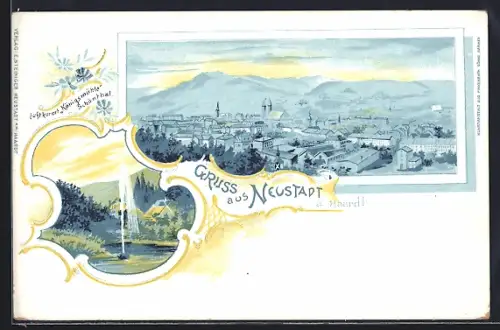 Lithographie Neustadt a. Haardt, Ortsansicht aus der Vogelschau