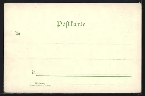 Lithographie Neustadt a. Haardt, Ortsansicht aus der Vogelschau