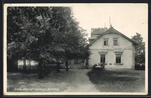 AK Börnchen / Bannewitz, Auffahrt zum Gasthaus Lerchenberg