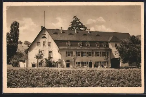AK Mülheim a. d. Mosel, Pension Haus Bottler, von einem Feld aus gesehen