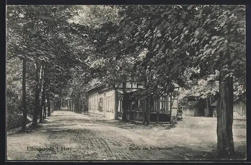 AK Elbingerode /Harz, Partie am Schützenhaus mit Hof u. Strasse