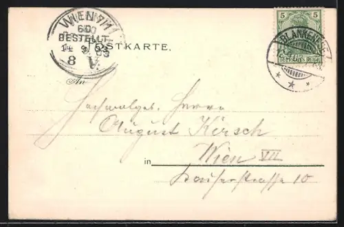 Lithographie Hamburg-Blankenese, Süllberg, Dampfschiff, Bes. Fritz Rohr