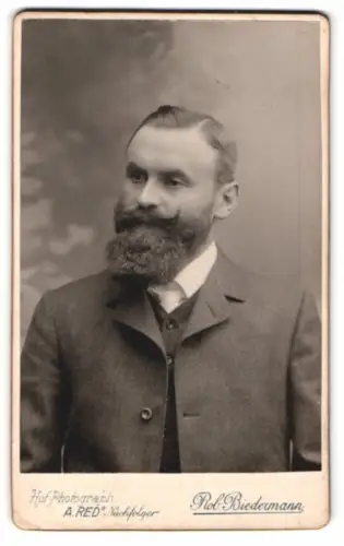 Fotografie A. Red`s Nachfolger, Wels, Toni im Porträt mit Bart
