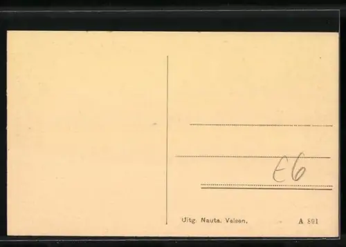 AK Leersum, Ortsansicht mit hübschen Häusern