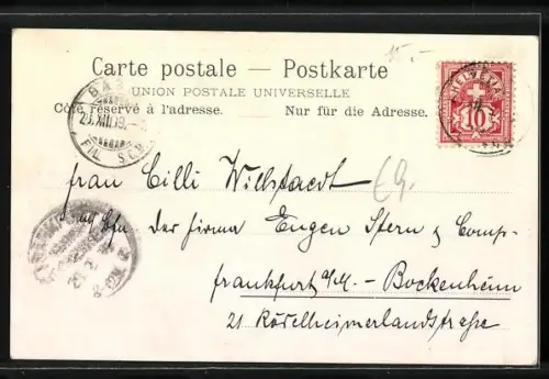 AK Basel, Teilansicht und Tannenzweig