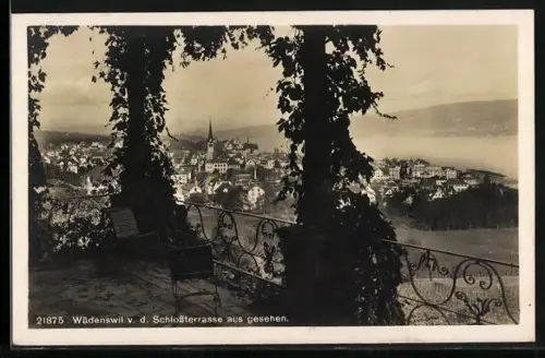 AK Wädenswil, Ansicht v. d. Schlossterrasse aus