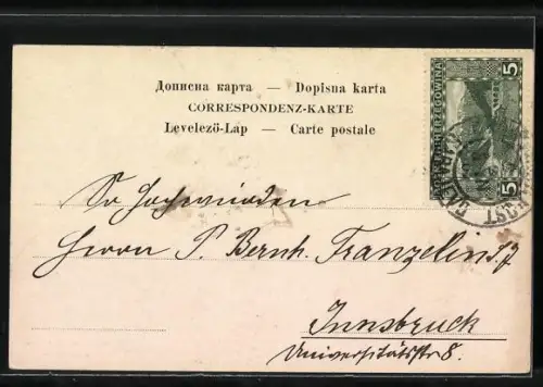 AK Sarajevo, Panorama