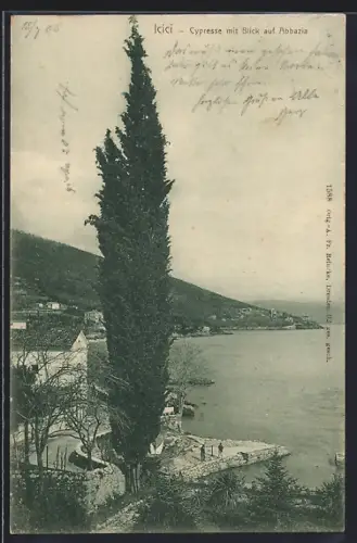 AK Icici, Cypresse mit Blick auf Abbazia