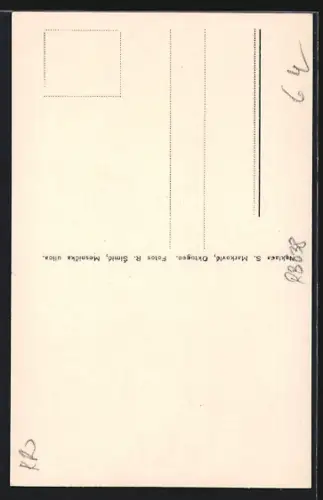 AK Zagreb, Katedrala