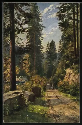 Künstler-AK Heinrich Hoffmann: Schwarzwald-Tannen, Waldidyll