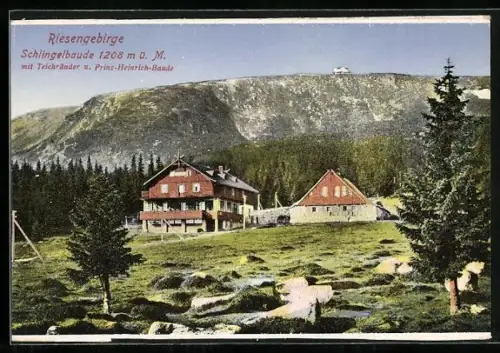 AK Schlingelbaude mit Prinz-Heinrich-Baude und Teichränder, Riesengebirge