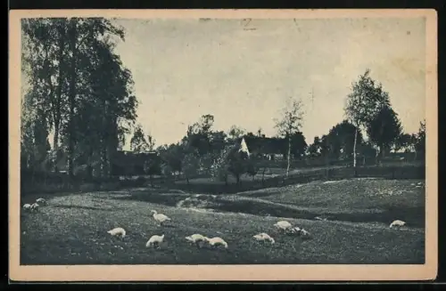 AK Niekarm, Vor dem Dorf