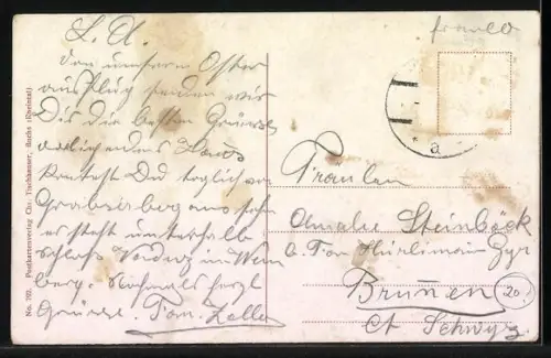 AK Vaduz, Das rote Haus