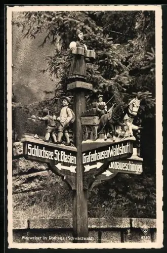 AK Wegweiser im Schwarzwald, Richtungen Schluchsee St. Blasien, Grafenhausen Waldshut und Donaueschingen