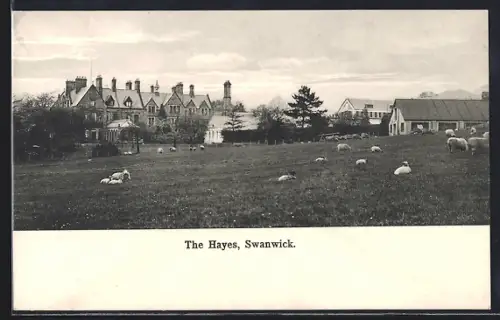 AK Swanwick, The Hayes, Panorama