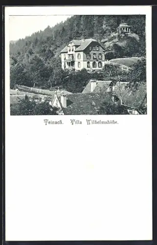AK Teinach, Hotel und Villa Wilhelmshöhe