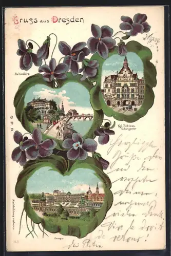 Passepartout-Lithographie Dresden, Kgl. Schloss, Georgenthor, Belvedere, Zwinger, Eichenblatt