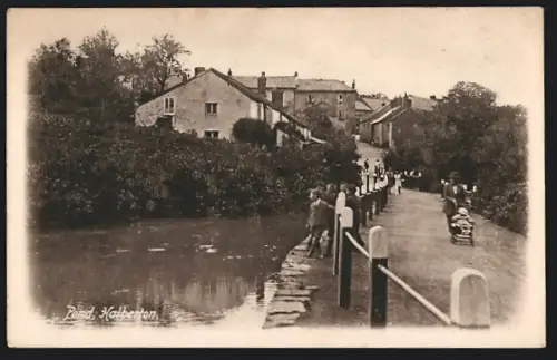 AK Halberton, Pond