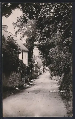 AK Thurlestone, Panorama