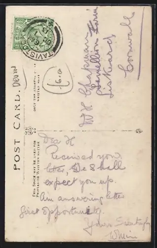 AK Thurlestone, Panorama