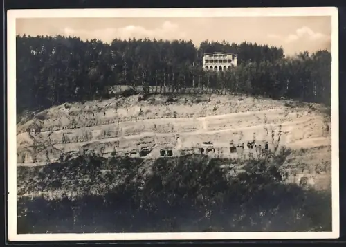AK Bad Berka, Gasthof Waldhaus Schlossberg E. Töpfer / Balsamine mit Umgebung aus der Vogelschau