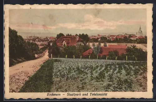 AK Bockenem, Stadtpark und Totalansicht