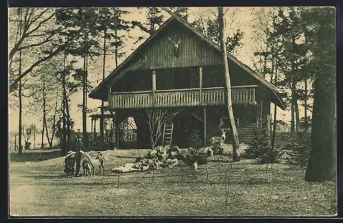 AK Mainz, Stadtpark, Partie mit Rehen und Blockhaus