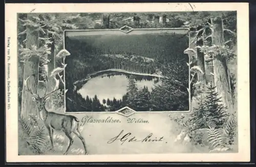 AK Bad Rippoldsau, Wildsee umgeben vom Wald