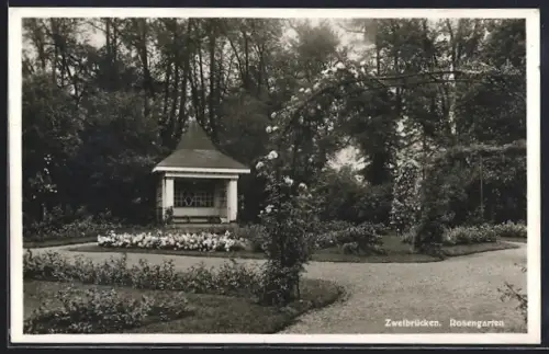 AK Zweibrücken, Idyllischer Rosengarten mit Pavillon