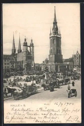 AK Halle a. S., Markt mit Marktbetrieb