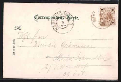 AK Maria Schutz, Strassenpartie und Kircheninnenraum