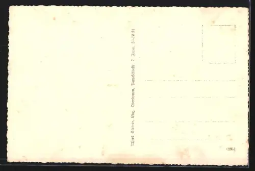 AK Neufelden i. M., Ortspartie mit Frauen am Brunnen