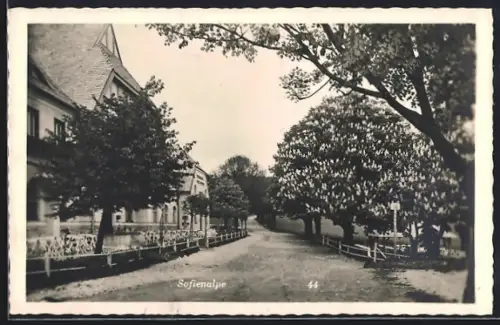 AK Wien, Hotel und Café-Restaurant Sofienalpe, Inh.: J. Krautstofl