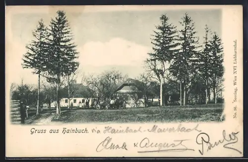 AK Mauerbach /N.-Oe., Hainbuch, Ortspartie mit Bäumen