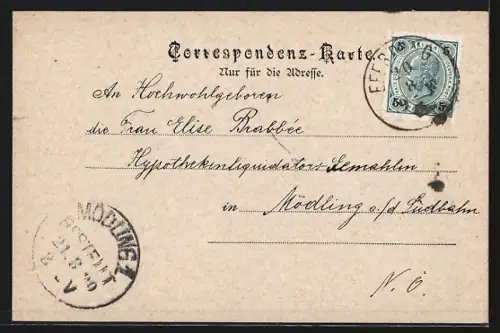 AK Eferding, Leute auf dem Hauptplatz mit dem fürstl. Starhemberg'schen Schloss