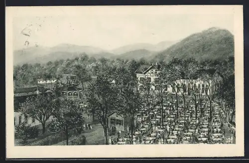 AK Hütteldorf, Restaurant Knödelhütte Witwe A. Riedl