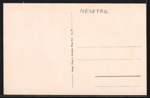 AK Maria Brunn a. d. Westbahn, Kirche mit Umgebung