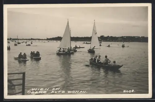 AK Wien, Obere alte Donau mit vielen Ruderbooten
