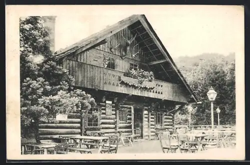 AK Wien, Alfred Doll's Weinhaus Stock im Weg