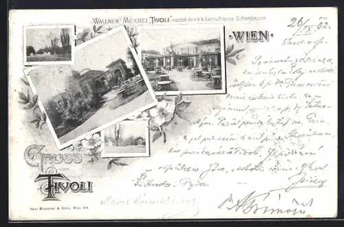 AK Wien, Wallner`s Meierei Tivoli mit verschiedenen Aussenansichten, Blumenverzierung