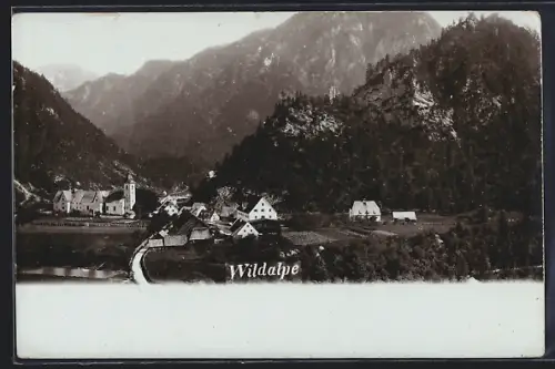 AK Wildalpe, Ortsansicht mit Alpenberge